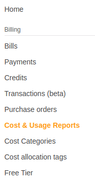 cost usage reports
